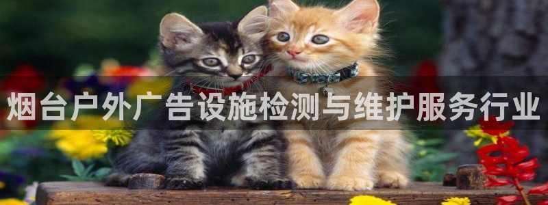 杏宇平台登陆：烟台户外广告设施检测与维护