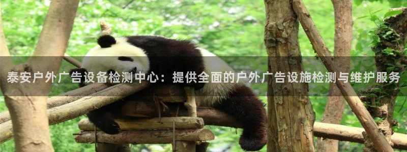 杏宇平台是什么：泰安户外广告设备检测中心：提供全面的户外广告设施检测与维护服务