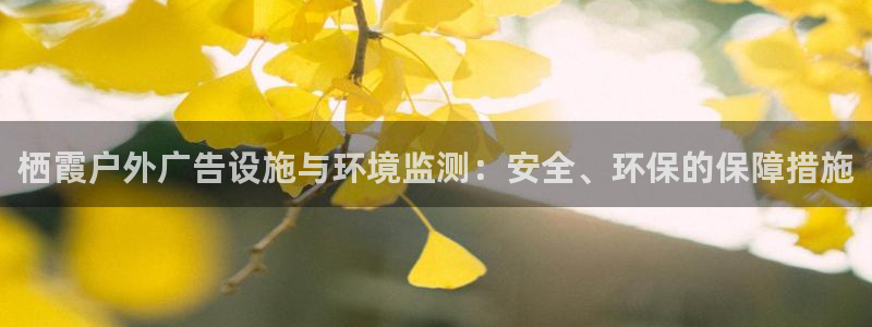 杏宇平台招商电话号码：栖霞户外广告设施与环境监测：安全、环保的保障措施