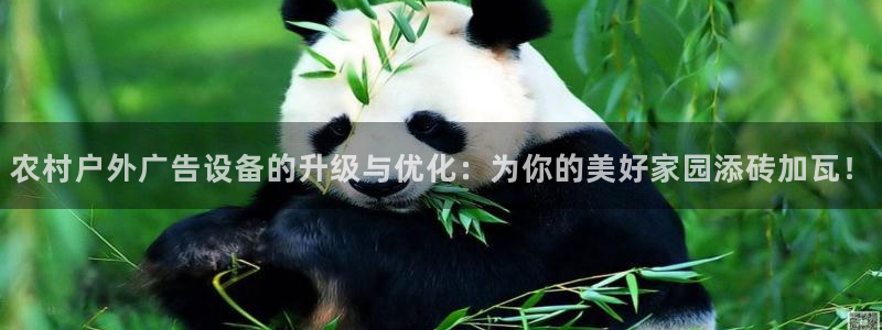 杏宇平台招商电话号码：农村户外广告设备的