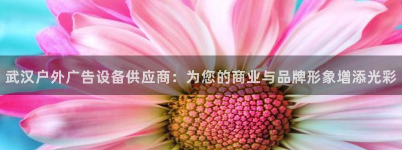 杏宇平台代理怎么赚钱的：武汉户外广告设备
