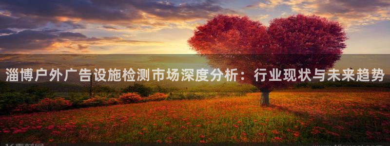 杏宇平台登录方法：淄博户外广告设施检测市场深度分析：行业现状与未来趋势