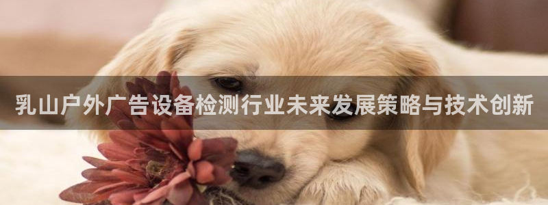 杏宇平台招商电话号码：乳山户外广告设备检测行业未来发展策略与技术创新