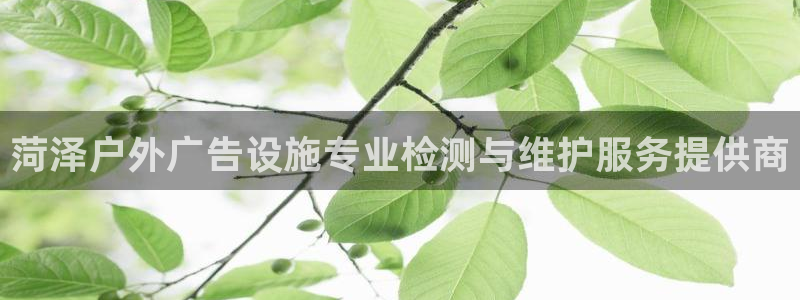 杏宇代理注册：菏泽户外广告设施专业检测与