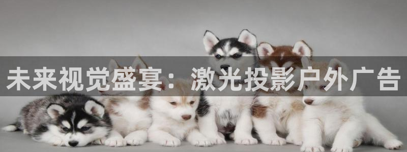 杏宇平台总代理是谁：未来视觉盛宴：激光投