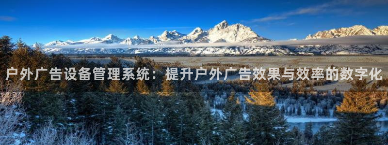 杏宇平台提现为什么这么久呢：户外广告设备管理系统：提升户外广告效果与效率的数字化