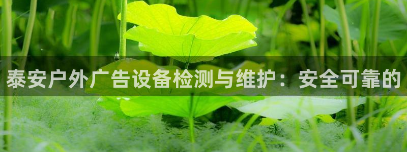 杏宇平台怎么样赚钱：泰安户外广告设备检测