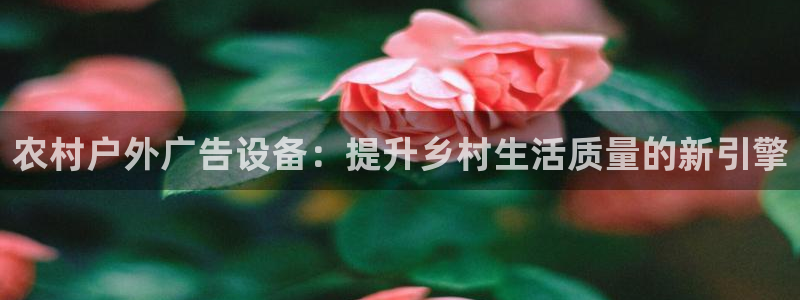 杏宇平台提现为什么这么久呢：农村户外广告