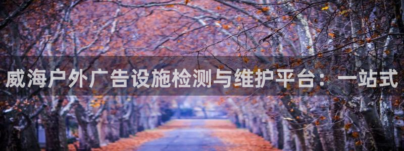 杏宇平台代理：威海户外广告设施检测与维护平台：一站式