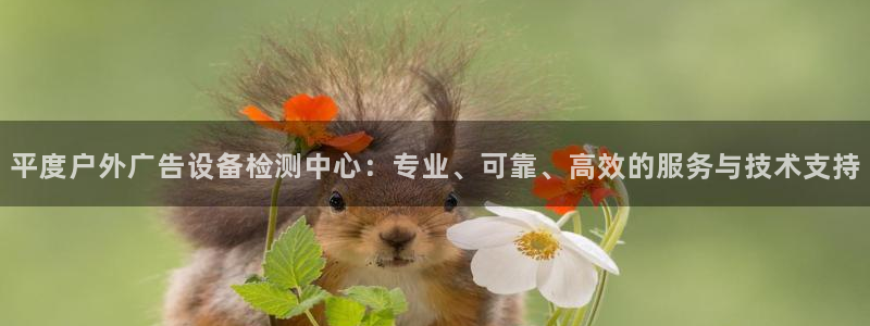 杏宇平台注册地址在哪里：平度户外广告设备检测中心：专业、可靠、高效的服务与技术支持