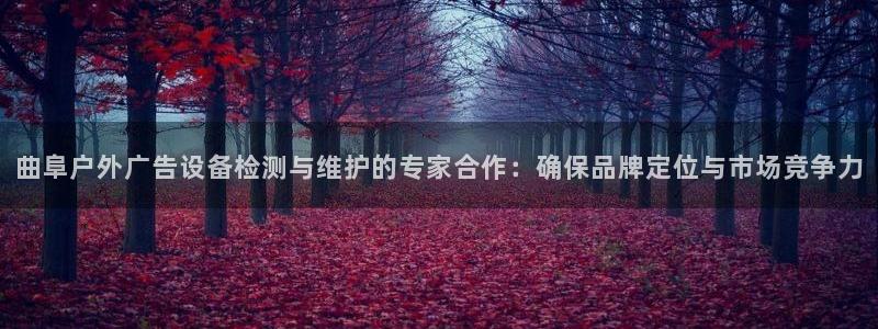 杏宇平台登陆：曲阜户外广告设备检测与维护