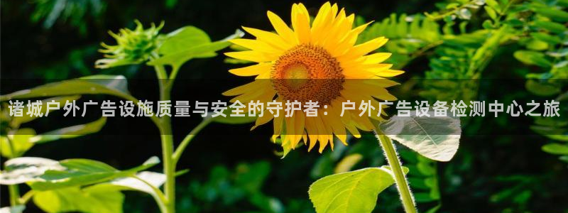 杏宇官方平台官网入口：诸城户外广告设施质