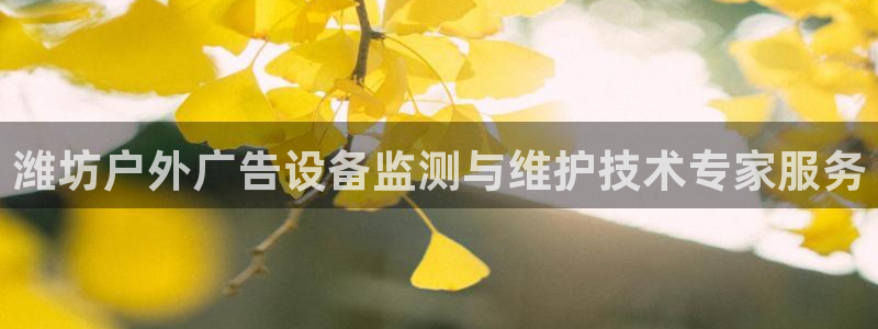 杏宇平台总代理是谁：潍坊户外广告设备监测与维护技术专家服务
