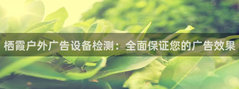 杏宇平台怎么样：栖霞户外广告设备检测：全面保证您的广告效果