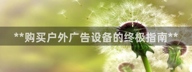 杏宇平台主管：**购买户外广告设备的终极指南**