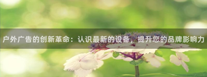 杏宇平台注册地址在哪里