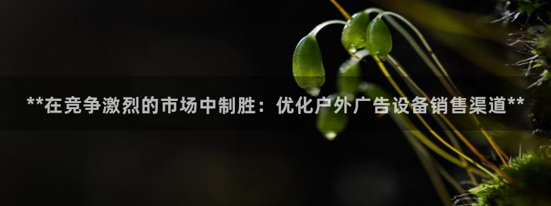 杏宇平台代理多少钱一个月：**在竞争激烈的市场中制胜：优化户外广告设备销售渠道**