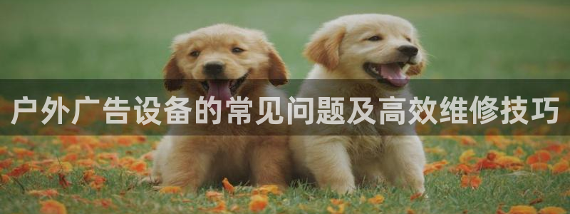 杏宇平台代理多少钱：户外广告设备的常见问题及高效维修技巧