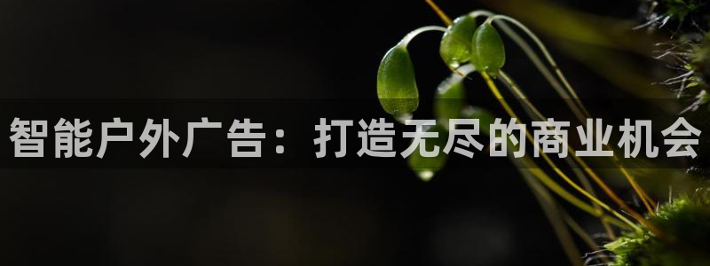 杏宇平台登录步骤是什么：智能户外广告：打造无尽的商业机会