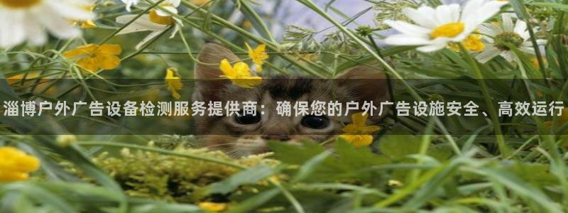 杏宇平台代理怎么赚钱的：淄博户外广告设备检测服务提供商：确保您的户外广告设施安全、高效运行