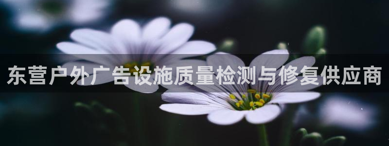 杏宇平台招商：东营户外广告设施质量检测与修复供应商