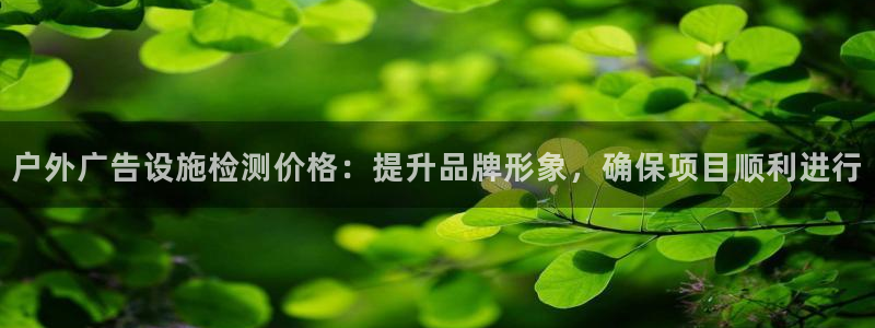 杏宇平台招商电话号码：户外广告设施检测价格：提升品牌形象，确保项目顺利进行