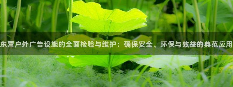 杏宇平台招商怎么样：东营户外广告设施的全面检验与维护：确保安全、环保与效益的典范应用