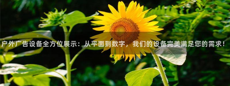 杏宇平台代理怎么赚钱的：户外广告设备全方位展示：从平面到数字，我们的设备完美满足您的需求！