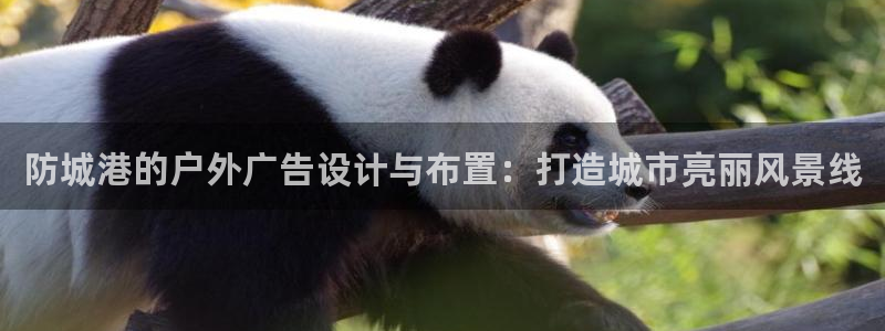 杏宇平台注册登录：防城港的户外广告设计与布置：打造城市亮丽风景线