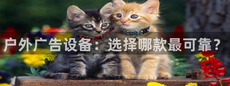 杏宇平台怎么样知乎：户外广告设备：选择哪款最可靠？