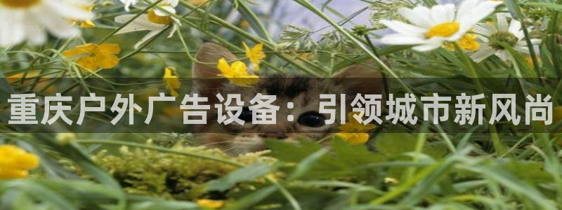 杏宇官方平台官网下载：重庆户外广告设备：引领城市新风尚