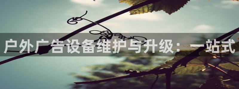 杏宇平台开户：户外广告设备维护与升级：一站式
