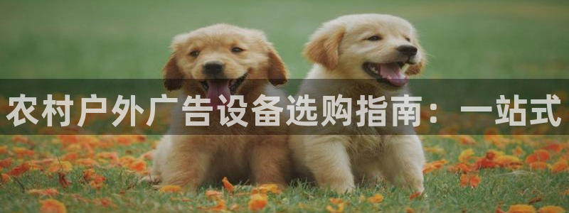 杏宇平台代理多少钱：农村户外广告设备选购指南：一站式
