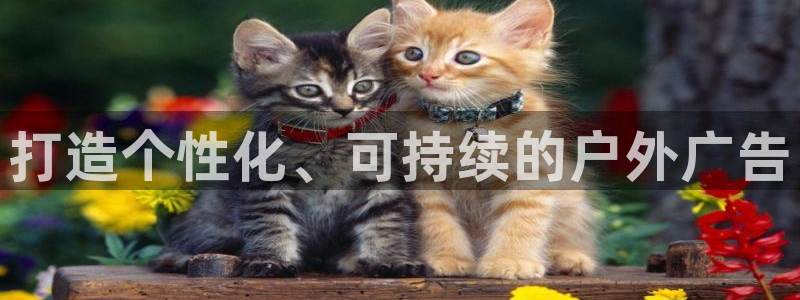 杏宇平台代理多少钱一次：打造个性化、可持续的户外广告