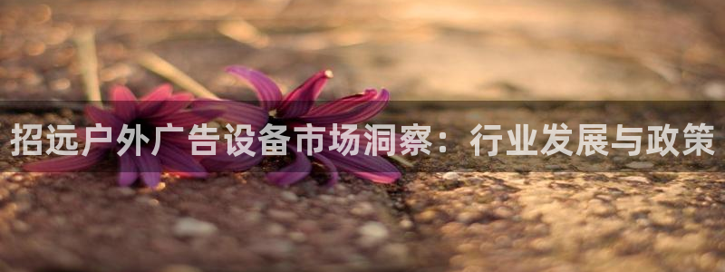 杏宇平台总代理是谁：招远户外广告设备市场洞察：行业发展与政策