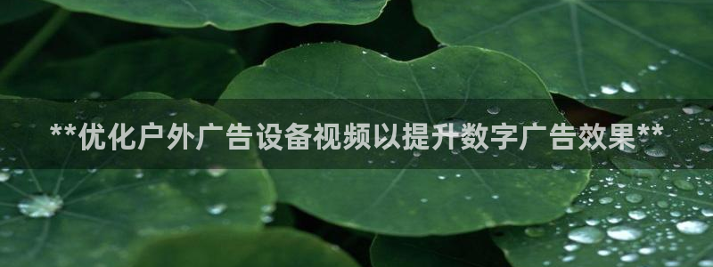 杏宇官方平台官网入口：**优化户外广告设备视频以提升数字广告效果**