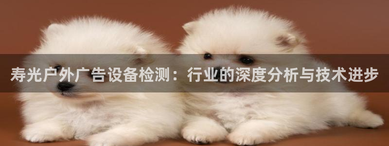 杏宇平台代理怎么样啊：寿光户外广告设备检测：行业的深度分析与技术进步