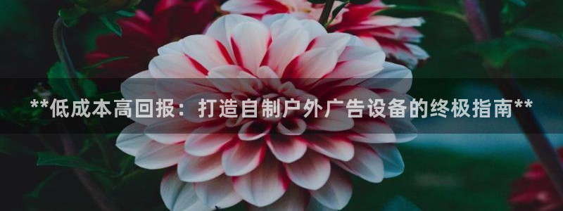 杏宇平台怎么样
