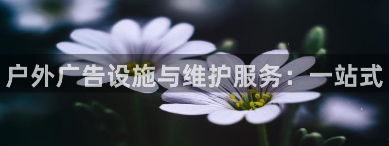 杏宇平台怎么样知乎